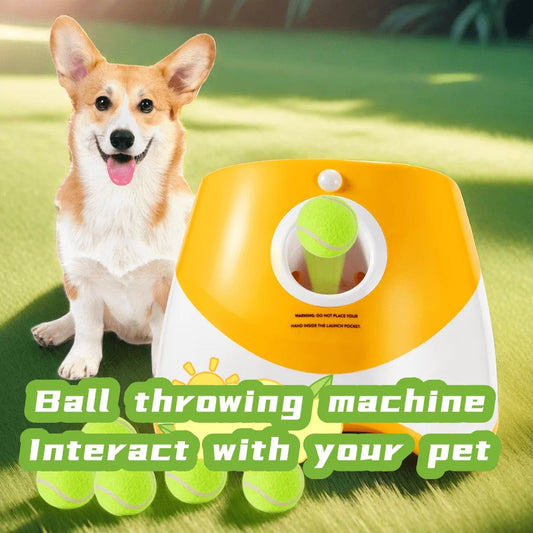 Endloser Spielspaß 🎾🐶 – die automatische Ballwurfmaschine für aktive und glückliche Hunde! 🚀